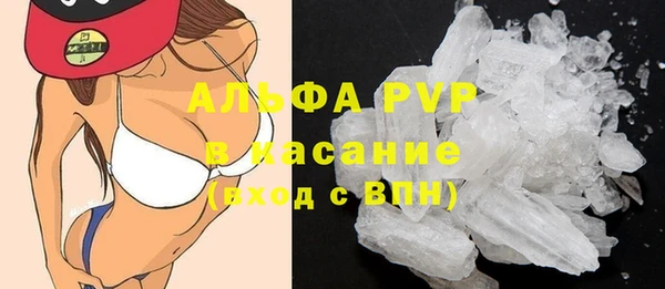 дживик Белокуриха
