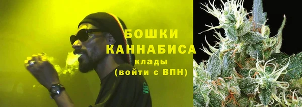 дживик Белокуриха