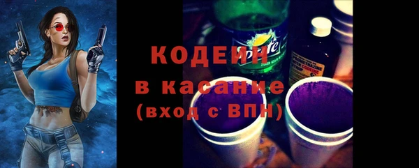 дживик Белокуриха