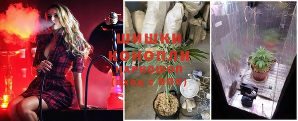 каннабис Беломорск