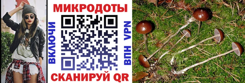 Галлюциногенные грибы ЛСД  как найти закладки  Брянск 